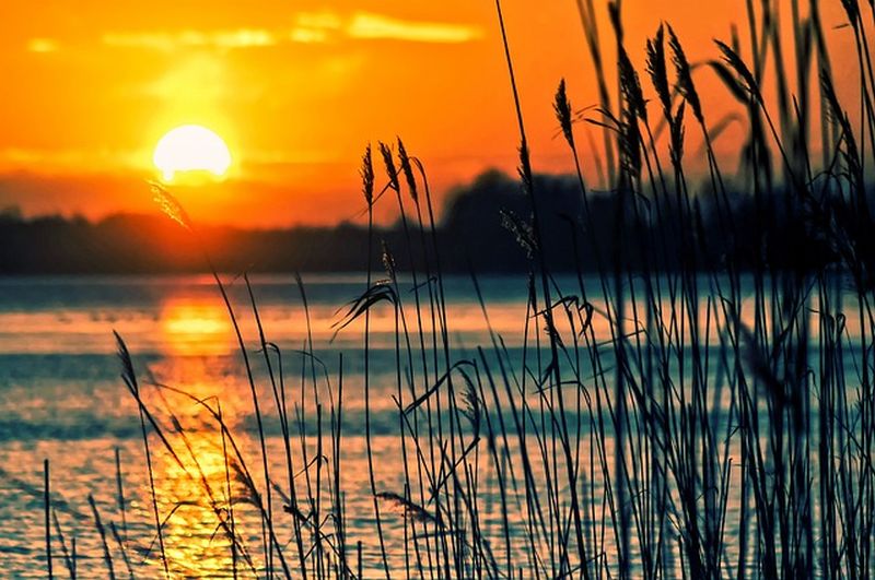 
Zbiljsko jezero